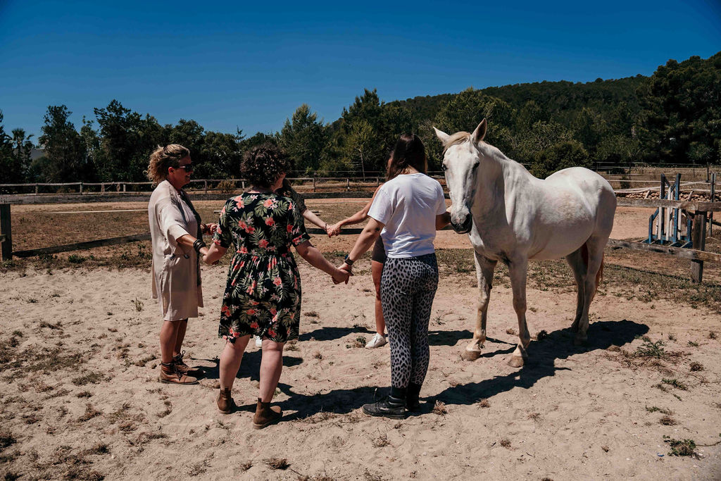The group closing a circle around one of the horses at the end of a session.