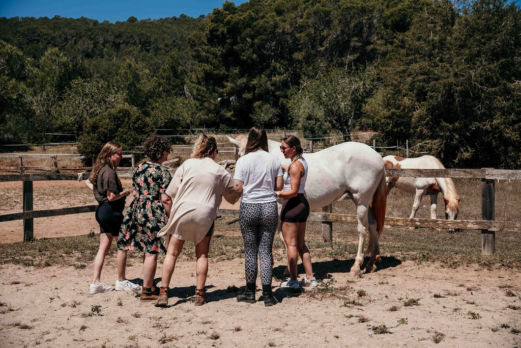 The group standing with a horse at the edge of the arena.